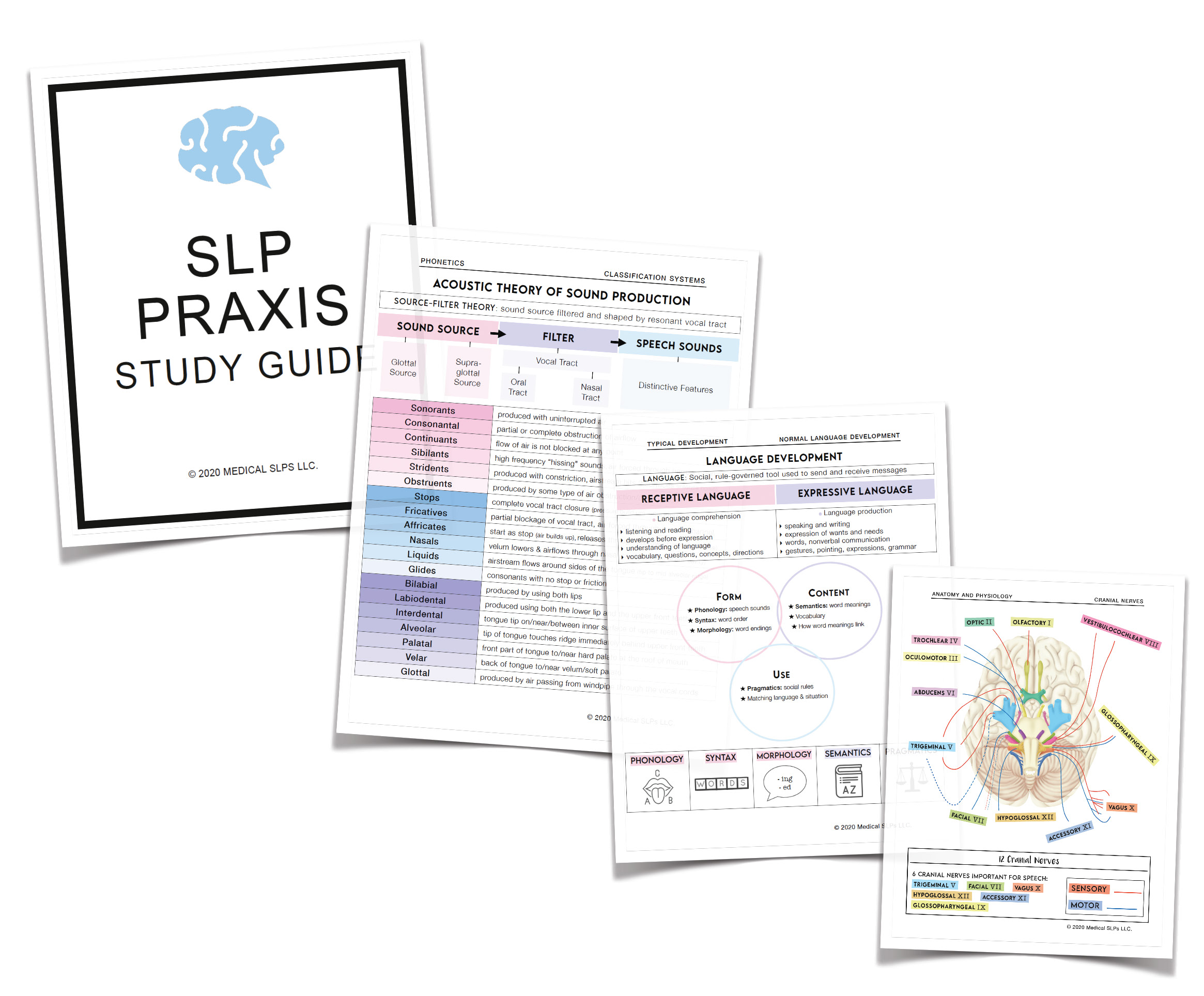 SLP　Medical　Guide　Praxis　Study　SLPs