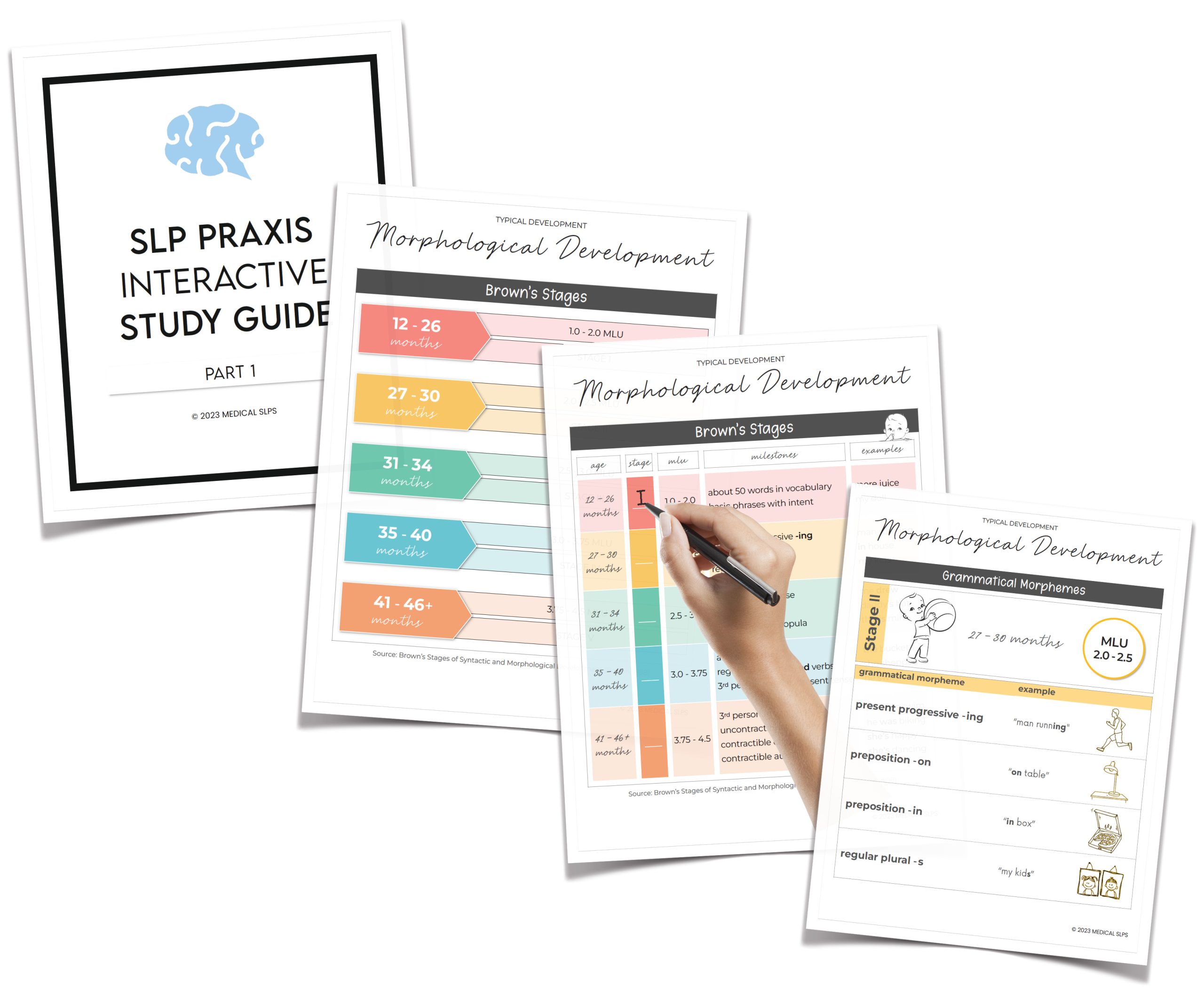 SLP Praxis Interactive Study Guide Part 1 Medical SLPs